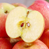 公益助农 山西2025新果农家自种红富士苹果10斤装 商品缩略图2