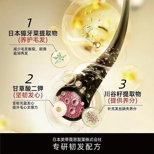 PHARMA21发玛21固韧丰盈护发精华乳600ml/110384 商品图3