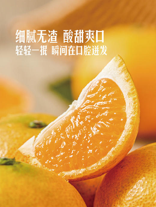 MM 山姆 临海蜜桔 2kg 商品图5