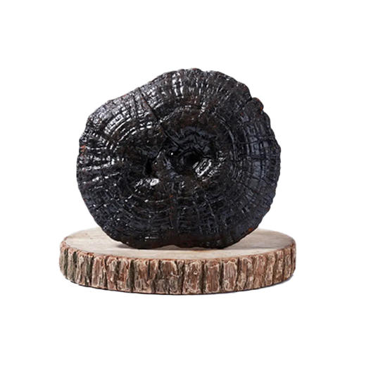 有机黑灵芝250g 商品图0