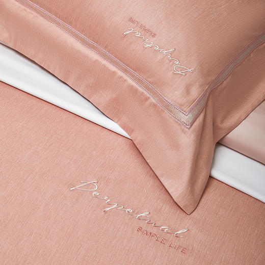 千帧彩四件套 -圣罗保（肉粉）100%新疆长绒棉100支双股贡缎工艺 商品图5