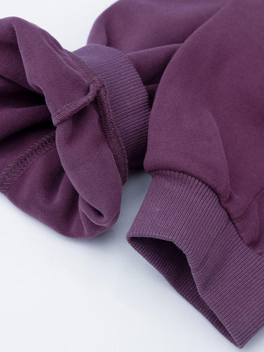 秋冬新款复古紫半拉链立领卫衣 宽松短款刺绣设计感上衣 潮酷休闲风套头衫 商品图4