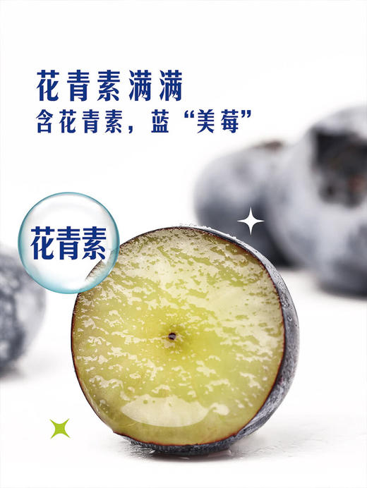 MM 山姆 18mm+秘鲁蓝莓 510g 商品图7