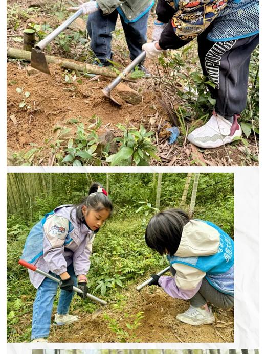 【亲子/独立】从化秋日野趣1天营 商品图2