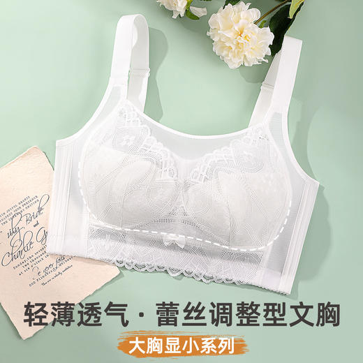雅黛俪大胸显小显瘦女士内衣轻薄透气蕾丝调整型文胸高侧比收副乳胸罩 商品图0