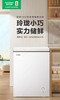 5F京东家电容声冰柜143升 商品缩略图0