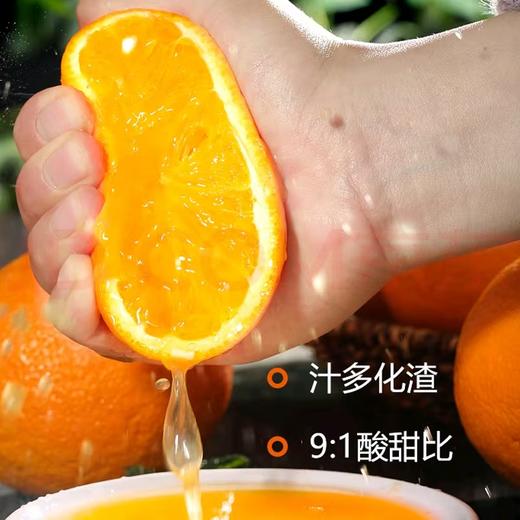 赣南核心产区脐橙 当季现摘甜嫩多汁 整箱 5/10 斤新鲜直达 商品图3