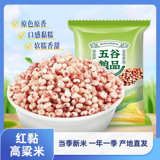 豫粮优选·五谷粮品红黏高粱米1500g 口感软糯 粘糯新米 商品图4