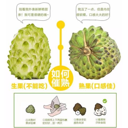 泰国释迦果 3-4#(净重2.8-3.2斤) 商品图5