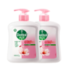 滴露抑菌洗手液滋润倍护450g+450g（两支装） 商品缩略图2