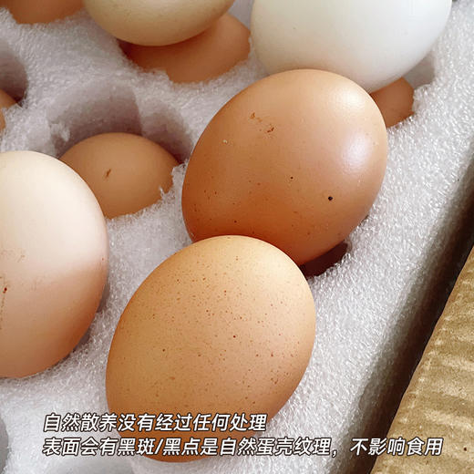 【九华山散养土鸡蛋/初生鸡蛋】天然高山生态散养  0激素0抗生素 商品图8