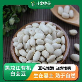 黑龙江有机白芸豆 | 豆粒饱满 白嫩饱实 颜色均匀 | 公平贸易 * Heilongjiang organic white kidney bean