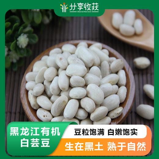 黑龙江有机白芸豆 | 豆粒饱满 白嫩饱实 颜色均匀 | 公平贸易 * Heilongjiang organic white kidney bean 商品图0