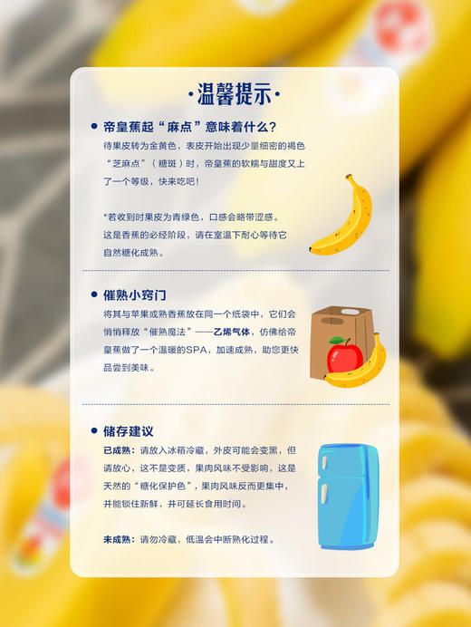 MM 山姆 进口皇帝蕉 600g 商品图6