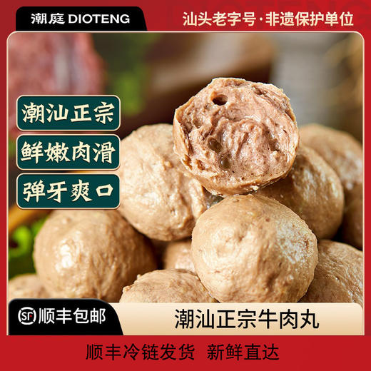 BD潮庭潮好运火锅丸子牛肉丸牛筋丸组合 商品图0