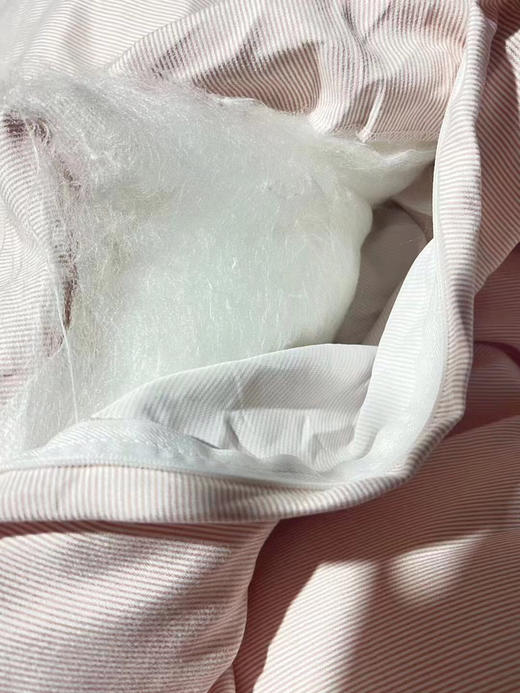 LHX 2593 无印风蚕丝＋蚕丝棉被 商品图9