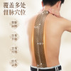 【草本萃取】九宫艾 龙脊扶阳灸 2贴/盒 持久温热 商品缩略图3
