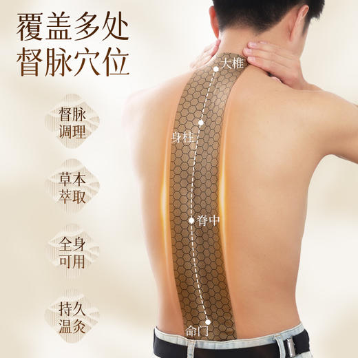 【草本萃取】九宫艾 龙脊扶阳灸 2贴/盒 持久温热 商品图3