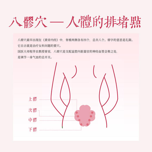 【后辰药灸发热雪莲八髎贴🔥】灸透八髎，百穴皆开！就像给盆腔做芍疗SPA，轻轻松松做个“暖美人” 商品图1