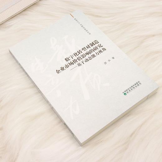 数字化转型对制造企业市场价值影响的研究:基于动态能力视角 商品图1