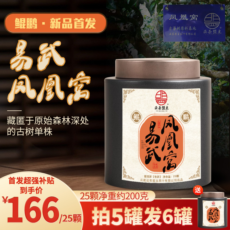 【鲲鹏-新品首发】易武凤凰窝！一类高杆古树！2024年头春头采，藏匿于原始森林深处！年产量不超300kg的小微产区！