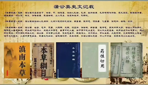 一茶在手，万事不愁；蒲公英发酵根茶，经过特殊制茶烘焙及发酵工艺，将蒲公英原的“寒性食材”转化为“中性特质”，让其食材的功效更为完美；每天来一杯，健康生活每一天![得意] 商品图4