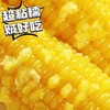 周四取货：【有机三色糯玉米】一袋750克，又甜又糯！ 商品缩略图3