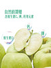 MM 山姆 Enjoy Fresh雪绮苹果 2.4kg 商品缩略图6