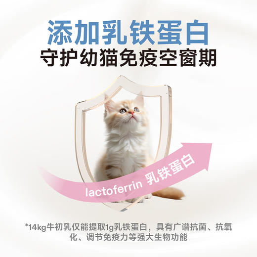 纯福 猫用幼猫 主食罐盒装85g*6罐 商品图3