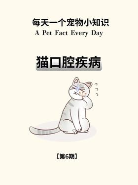 小猫咪的牙齿健康，大问题！！