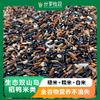 生态双山岛稻鸭米 糙米+糯米+白米  | 合作生产 | 基地直发包邮 * Ecological Shuangshan Island Rice and Duck Rice 商品缩略图0