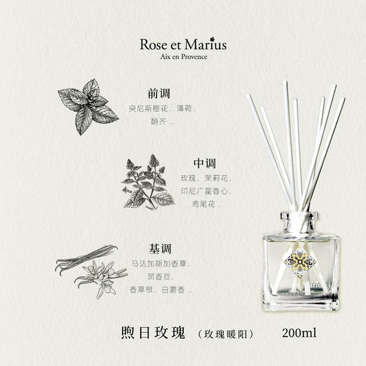 【小众沙龙香】馥说Rose et Marius 无火香薰礼盒 法国进口普罗旺斯大师调香持久扩香 200ml 商品图4