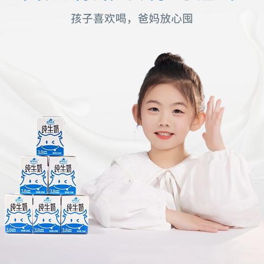 ⁵69.9元2箱旋转盖【神气牛-200ml】纯水牛奶+纯牛奶 香醇微甜不腻  YY05-QTT-HZLZ 商品图3