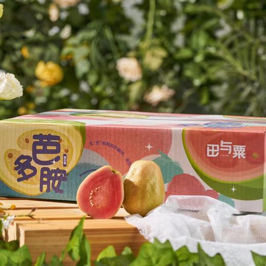 【福建 多芭胺·奶油芭乐】Chapter.01 低脂低卡低糖高纤 软糯香甜，比起苹果，芭乐所含的脂肪少38% 商品图4