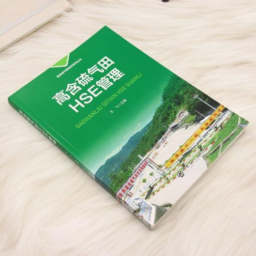 高含硫气田HSE管理 商品图1