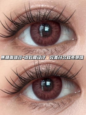 chocolate奶酪巧克力棕·日抛·六片装