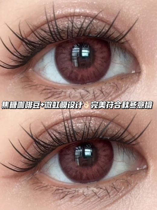 chocolate奶酪巧克力棕·日抛·六片装 商品图0