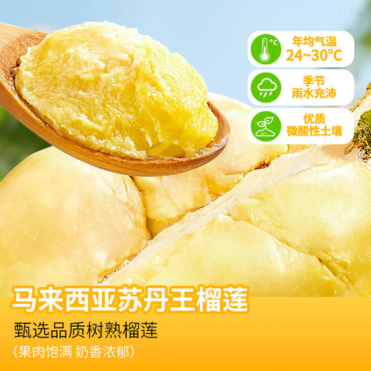 【全场7折+消费满128.8送抹茶千层1盒】高端多榴莲肉苏丹王榴莲千层蛋糕500g*1盒 商品图4