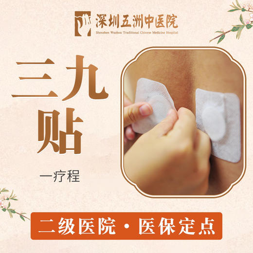 【三九贴/系统/疗程】冬病冬治冬防驱寒祛湿调和气血 商品图0