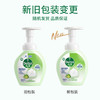 滴露泡沫抑菌洗手液青柠香型250ml 商品缩略图5