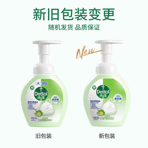 滴露泡沫抑菌洗手液青柠香型250ml 商品图5
