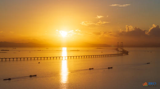 （包团12月） 深圳人才公园、天空之城，盐田港夜景 &中山深中通道日出2天 商品图10