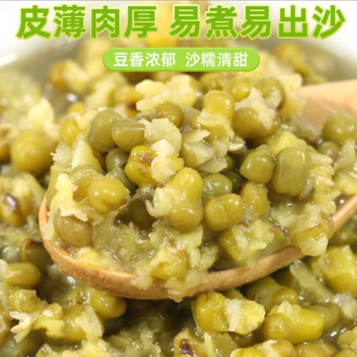 豫粮优选·五谷粮品绿豆900g  颗粒饱满 易煮出沙 商品图4