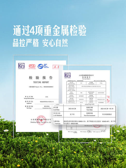 MM 山姆 美都西瓜 1个 商品图3