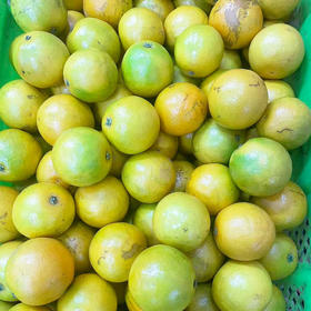 褚橙花斑果5Kg装（内劣果）