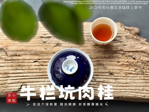 【好茶来了】这泡牛栏坑肉桂，只想一直喝下去，一直喝下去，一直喝下去 商品图12