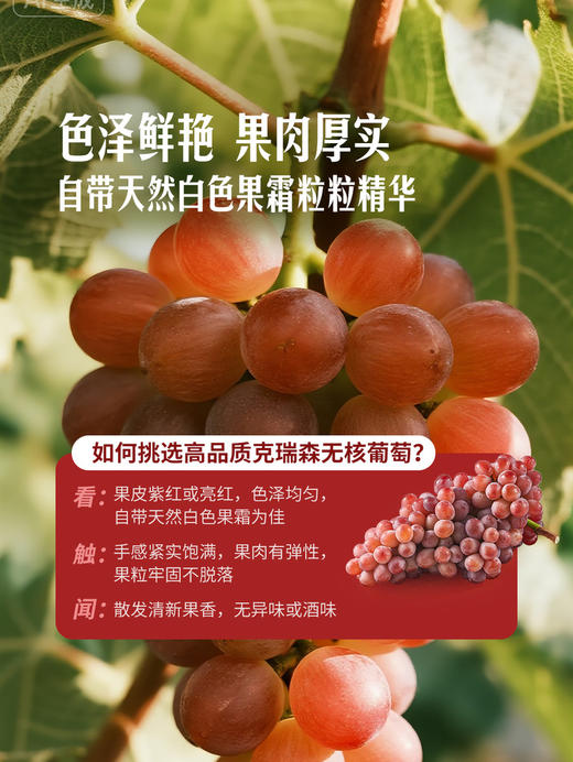 MM 山姆 克瑞森葡萄 1.4kg 商品图4