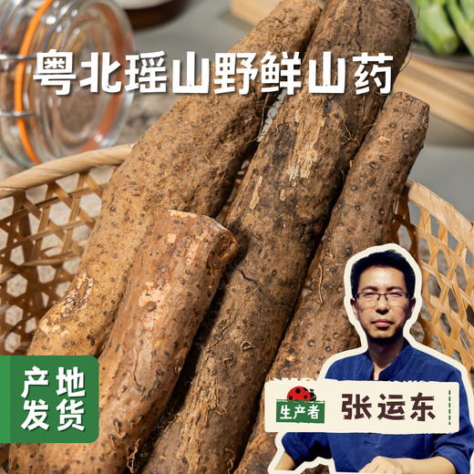 粤北瑶山野鲜山药 3斤装 | 合作农友生产，来自广东连南瑶族自治县，生产者：张运东 *【公平贸易农人定价】 商品图0