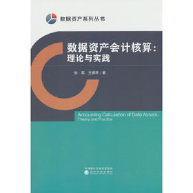 数据资产会计核算:理论与实践