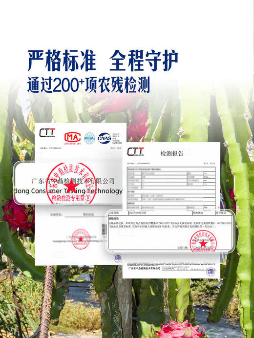 MM 山姆 红肉火龙果 整箱装 2.5kg 商品图4